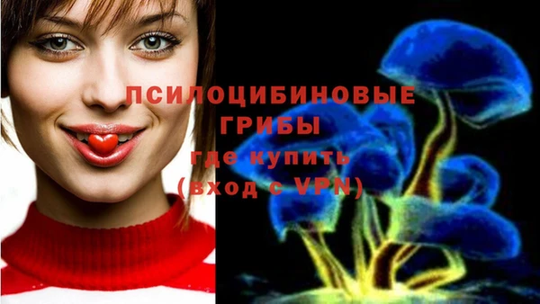 прущий лед Алексин