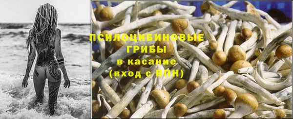 каннабис Алзамай