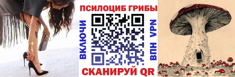 Купить  Сатка  Галлюциногенные грибы Psilocybine cubensis 
